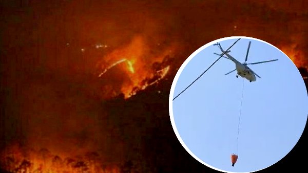 fireinsariska