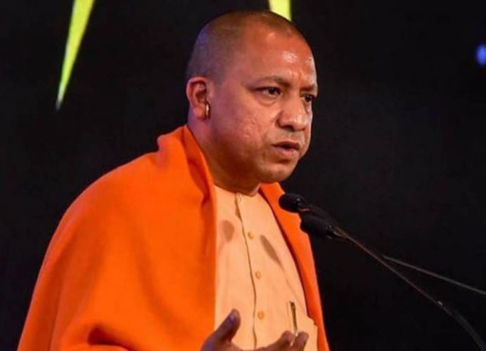 yogi
