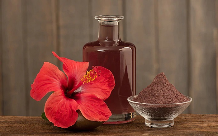 Hibiscus 3