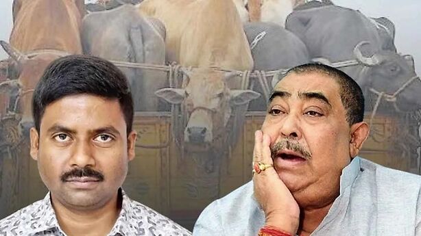 Anubrata Mandal Sehgal Hossain Cattle Smuggling