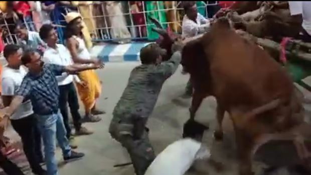 COW
