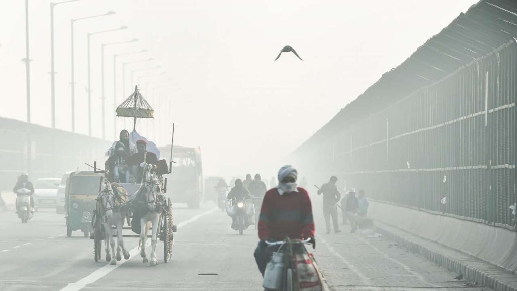 delhi weather10