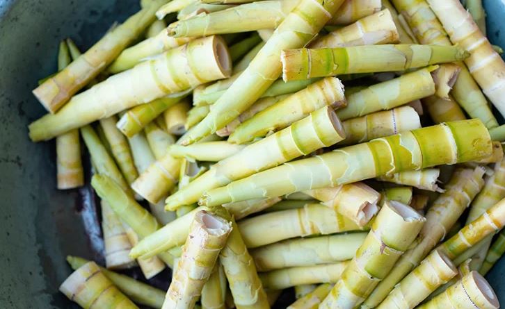 BAMBOO 2