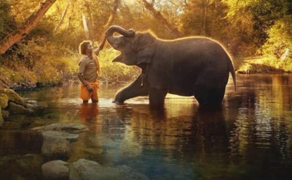 elephant
