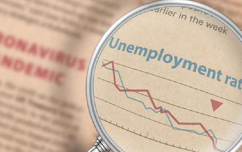 employment